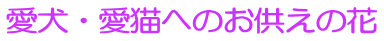 NW