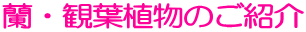 EϗtÂЉ
